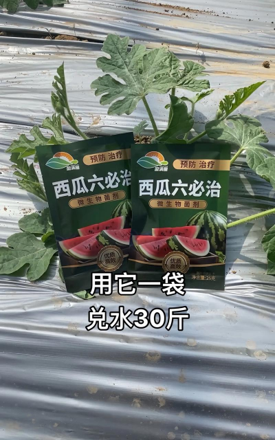 西瓜树病害防治,常见问题解析,实用应对方法 西瓜树病害防治,常见问题解析,实用应对方法