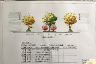 道路绿化设计依据,提升城市环境,保障交通安全 道路绿化设计依据,提升城市环境,保障交通安全