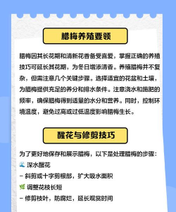 腊敏花怎么养,掌握关键技巧,轻松应对常见问题 腊敏花怎么养,掌握关键技巧,轻松应对常见问题