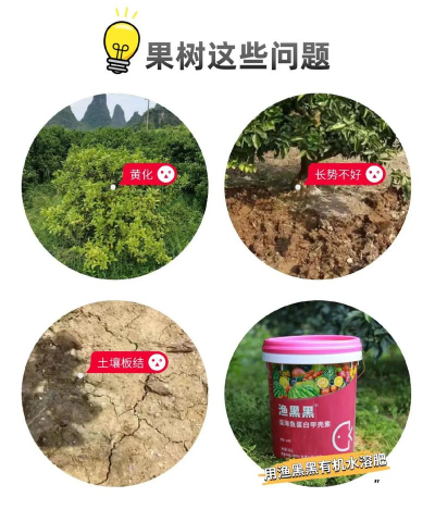 果园黄化树防治,找准原因,对症下药 果园黄化树防治,找准原因,对症下药