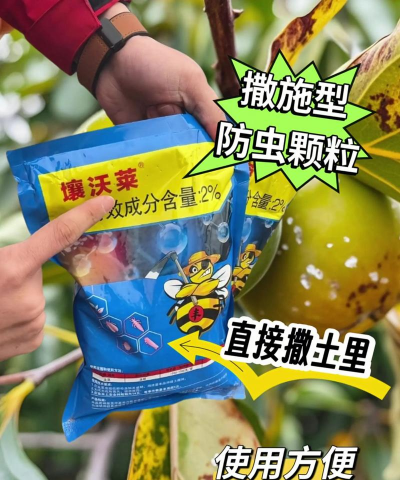 树虱子怎么防治,快速见效,保护树木健康 树虱子怎么防治,快速见效,保护树木健康