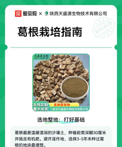 葛根栽培技术,选对方法,轻松高产 葛根栽培技术,选对方法,轻松高产