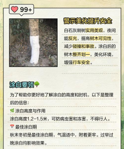 白灰树怎么防治,常见问题解析,实用方法分享 白灰树怎么防治,常见问题解析,实用方法分享