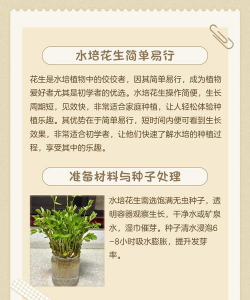 花生的栽培技术,选对品种,掌握关键步骤 花生的栽培技术,选对品种,掌握关键步骤