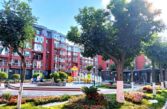 城市街道绿化设计,提升环境品质,改善居民生活 城市街道绿化设计,提升环境品质,改善居民生活