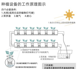 无土栽培的原理,掌握核心方法,轻松实现高效种植 无土栽培的原理,掌握核心方法,轻松实现高效种植
