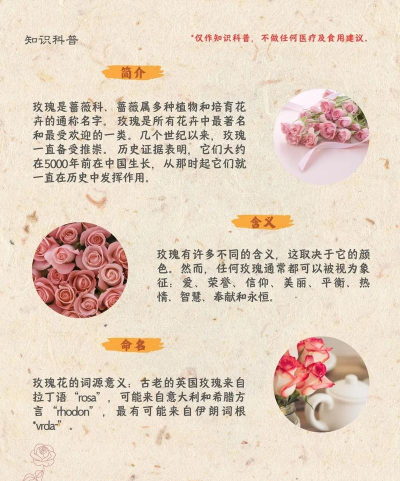 玫瑰树枯枝防治,找准原因,对症下药 玫瑰树枯枝防治,找准原因,对症下药