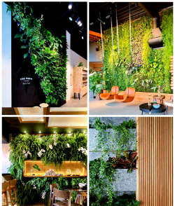 墙体绿化设计方案,提升空间美感,改善居住环境 墙体绿化设计方案,提升空间美感,改善居住环境