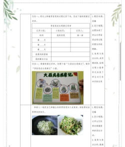 无土栽培,技术要点,新手入门指南 无土栽培,技术要点,新手入门指南