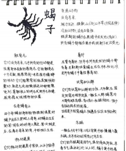 树蝎子防治办法,识别危害特征,采取有效手段 树蝎子防治办法,识别危害特征,采取有效手段