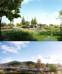 河道绿化设计规范,提升生态功能,美化城市景观 河道绿化设计规范,提升生态功能,美化城市景观