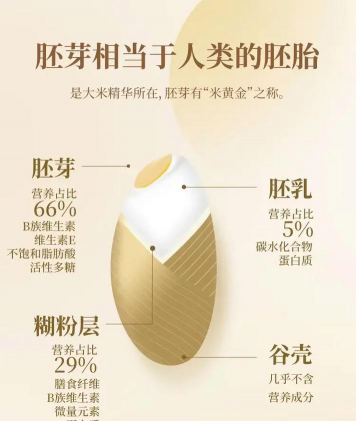 旱稻栽培技术,提高种植效率,掌握关键要点 旱稻栽培技术,提高种植效率,掌握关键要点