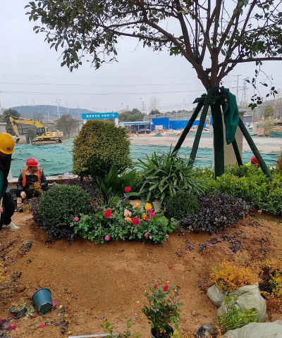 城市绿化设计施工,提升环境品质,打造宜居空间 城市绿化设计施工,提升环境品质,打造宜居空间