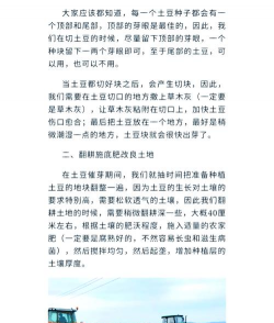 土豆的栽培技术,选对品种,掌握关键步骤 土豆的栽培技术,选对品种,掌握关键步骤