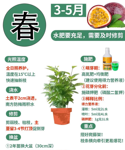 果树栽培视频,新手入门指南,轻松掌握技巧 果树栽培视频,新手入门指南,轻松掌握技巧