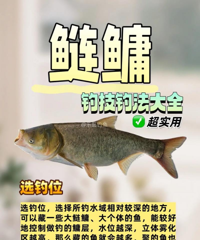 花鲢鱼该怎么养,掌握关键技巧,轻松应对常见问题 花鲢鱼该怎么养,掌握关键技巧,轻松应对常见问题