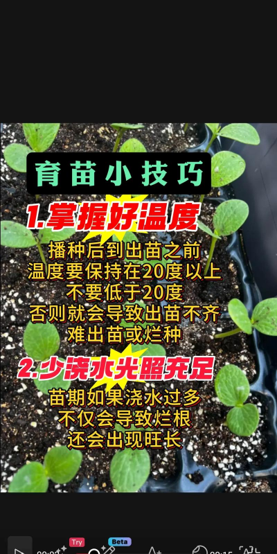 育苗栽培,选对方法,轻松上手 育苗栽培,选对方法,轻松上手