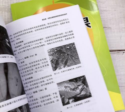 反季节栽培,提升种植效益,突破季节限制 反季节栽培,提升种植效益,突破季节限制