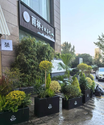 园林绿化设计商铺门口,提升店面形象,吸引更多顾客 园林绿化设计商铺门口,提升店面形象,吸引更多顾客