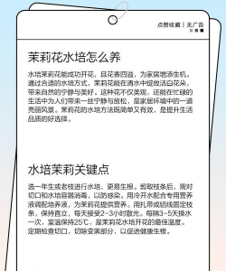 宿舍茉莉花怎么养,掌握关键技巧,轻松养出好状态 宿舍茉莉花怎么养,掌握关键技巧,轻松养出好状态