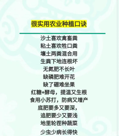 作物栽培学各论,掌握核心要点,提升种植效率 作物栽培学各论,掌握核心要点,提升种植效率