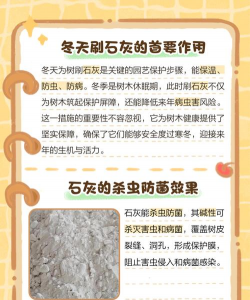 树蛀虫防治石灰,使用方法详解,效果评估指南 树蛀虫防治石灰,使用方法详解,效果评估指南