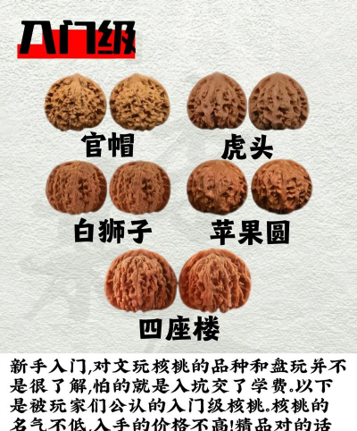 核桃的栽培,选对品种,掌握关键技巧 核桃的栽培,选对品种,掌握关键技巧