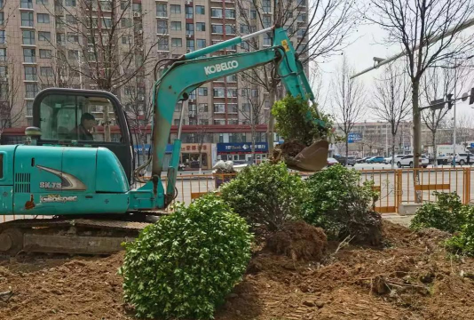 园林绿化养护施工组织设计,提升养护效率,确保绿化效果 园林绿化养护施工组织设计,提升养护效率,确保绿化效果