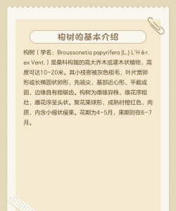 构树怎么防治,常见问题分析,实用方法分享 构树怎么防治,常见问题分析,实用方法分享