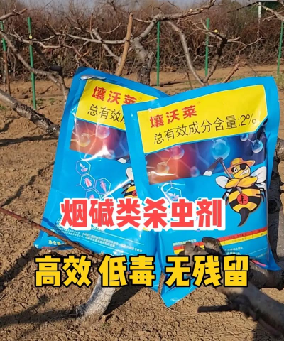 树冬虫害防治,常见虫害识别,有效防治方法 树冬虫害防治,常见虫害识别,有效防治方法