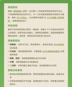 银杏树栽培方法,选对时机,掌握技巧 银杏树栽培方法,选对时机,掌握技巧