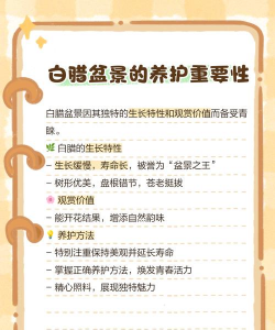 树桩的栽培,选对方法,轻松上手 树桩的栽培,选对方法,轻松上手