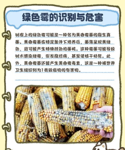 树绿霉防治,识别症状,及时处理 树绿霉防治,识别症状,及时处理