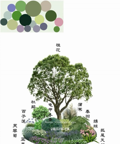 绿化设计英文,专业术语解析,实际应用场景 绿化设计英文,专业术语解析,实际应用场景