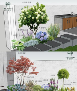 绿化设计意愿,如何表达,怎样落地 绿化设计意愿,如何表达,怎样落地