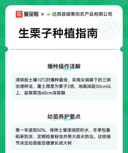 板栗的栽培,掌握关键步骤,轻松收获果实 板栗的栽培,掌握关键步骤,轻松收获果实