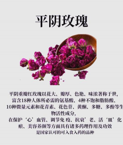 玫瑰花水怎么养,新手入门指南,轻松掌握养护技巧 玫瑰花水怎么养,新手入门指南,轻松掌握养护技巧