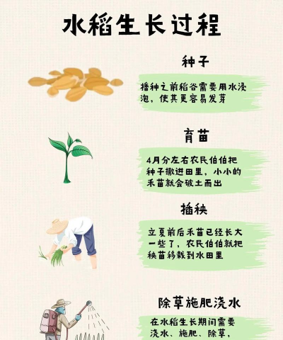 什么是中国最早栽培的,探寻农业起源,了解作物历史 什么是中国最早栽培的,探寻农业起源,了解作物历史