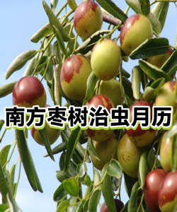 栆树防治食心虫,找准关键时期,用好三种方法 栆树防治食心虫,找准关键时期,用好三种方法