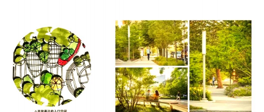 绿化毕业设计,选题方向与实施要点,帮你轻松过关 绿化毕业设计,选题方向与实施要点,帮你轻松过关