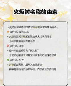 火炬树怎样防治,常见问题解析,实用方法分享 火炬树怎样防治,常见问题解析,实用方法分享
