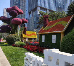 包头世贸绿化设计,提升城市形象,改善人居环境 包头世贸绿化设计,提升城市形象,改善人居环境