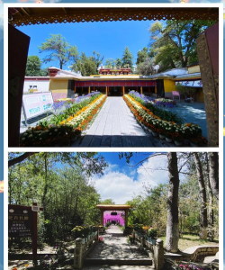 拉萨造林绿化设计,提升城市生态,改善人居环境 拉萨造林绿化设计,提升城市生态,改善人居环境