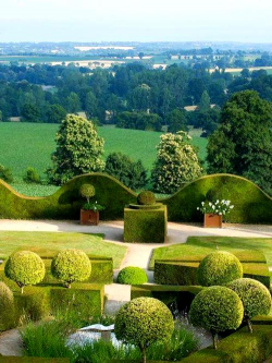 绿化设计球类作用,提升景观效果,增强视觉层次 绿化设计球类作用,提升景观效果,增强视觉层次