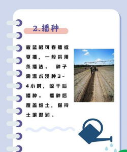 无土栽培技术哪里学,掌握核心方法,找到靠谱渠道 无土栽培技术哪里学,掌握核心方法,找到靠谱渠道