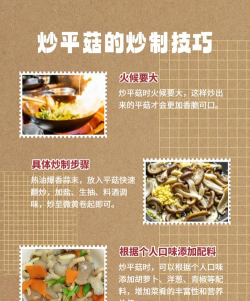 平菇高产栽培技术,掌握关键步骤,实现稳定增收 平菇高产栽培技术,掌握关键步骤,实现稳定增收