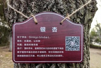 绿化铭牌文字设计,提升环境美感,传递文化内涵 绿化铭牌文字设计,提升环境美感,传递文化内涵