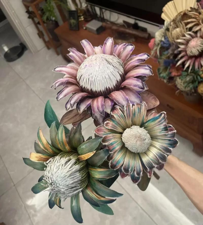 南非公主花怎么养开,掌握关键技巧,轻松绽放美丽 南非公主花怎么养开,掌握关键技巧,轻松绽放美丽