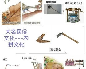 以下作物中国最早栽培,追溯历史源头,探寻农业文明 以下作物中国最早栽培,追溯历史源头,探寻农业文明