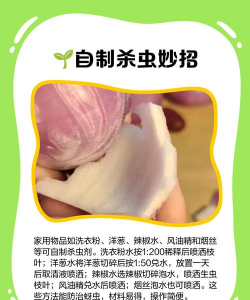 紫藤树防治蚜虫,识别虫害迹象,采取有效方法 紫藤树防治蚜虫,识别虫害迹象,采取有效方法